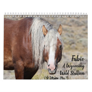 Calendrier Fabio Un étalon sauvage du Wyoming
