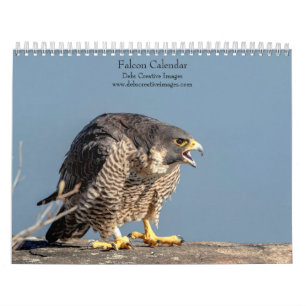 Calendrier Falcon 2026