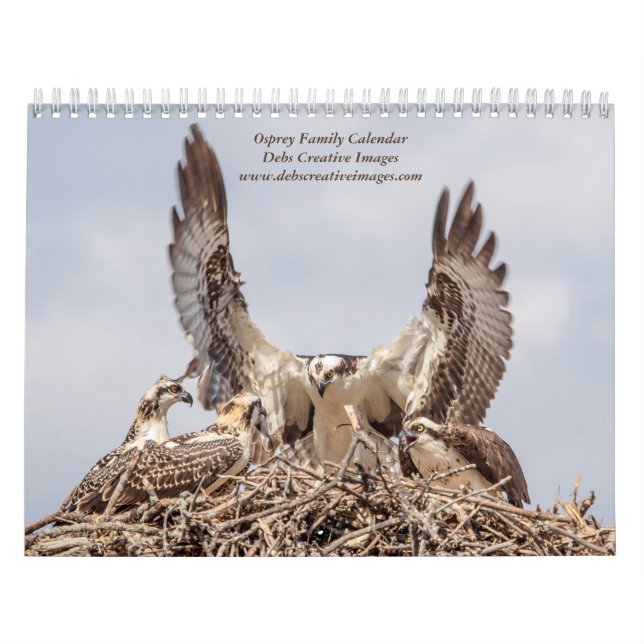 Calendrier Famille Osprey 2026 (Protection)