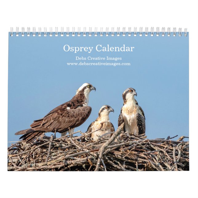 Calendrier Famille Osprey 2026 (Protection)