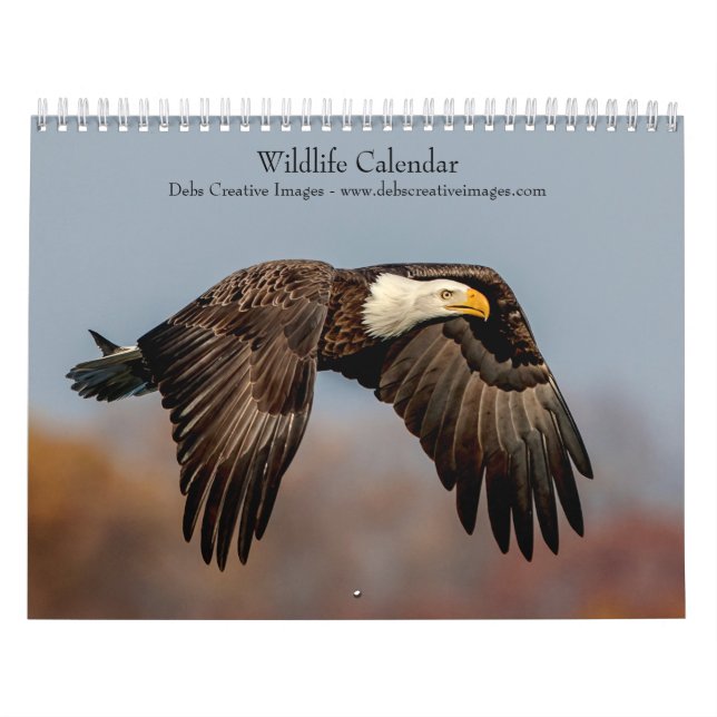 Calendrier Faune 2026 (Protection)