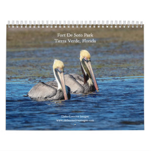 Calendrier Faune au Fort De Soto Park 2025