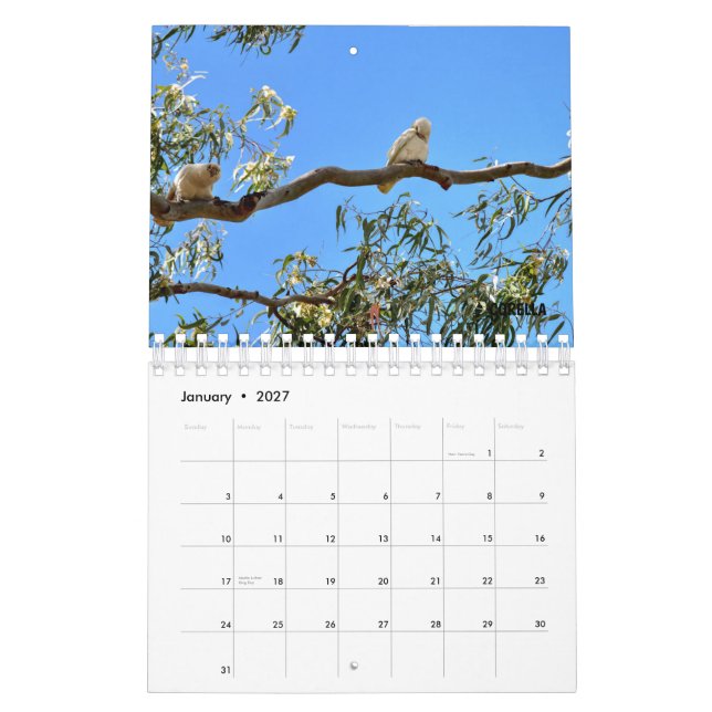 CALENDRIER FAUNE AUSTRALIENNE (Jan 2027)
