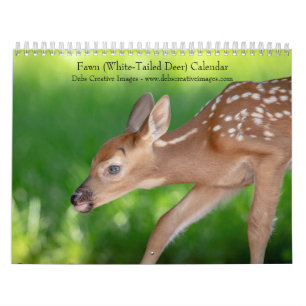 Calendrier Faune (cerf de Virginie) 2025