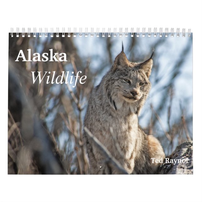 Calendrier Faune de l'Alaska (Protection)
