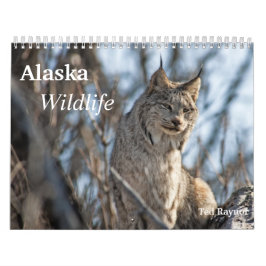 Calendrier Faune de l'Alaska