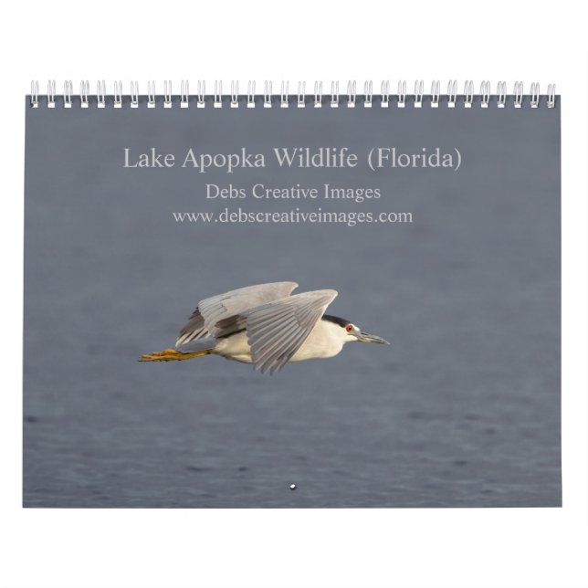 Calendrier Faune du lac Apoka 2026 en Floride (Protection)
