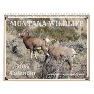 Calendrier Faune du Montana