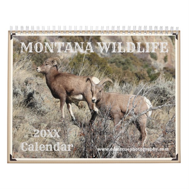 Calendrier Faune du Montana (Protection)