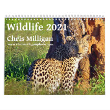 Faune en 2021 par Chris Milligan