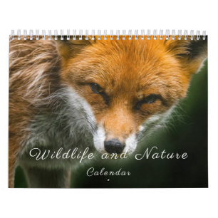 Calendrier Faune et nature