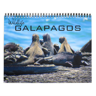 Calendrier faune galapagos 2027