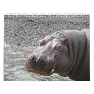 Calendrier Fermez-vous se lève des visages 2014 d'animal