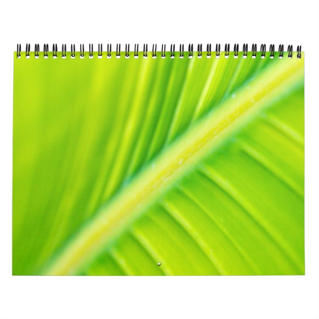 Calendrier feuille de banane verte (Protection)