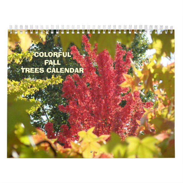 CALENDRIER Feuilles d'AUTOMNE Arbres d'automne Cal (Protection)