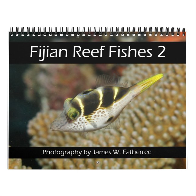 Calendrier Fijian Reef Fishers Calendar 2 (Protection)