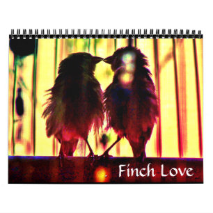 Calendrier Finch Love