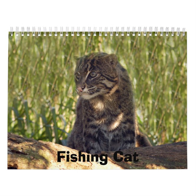 Calendrier FishingCat008, pêchant le chat (Protection)