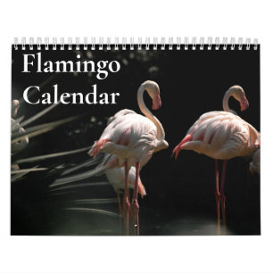 Calendrier Flamant 2027