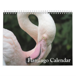 Calendrier Flamant rose 2025