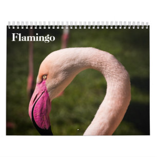 Calendrier Flamants roses 2025