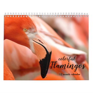 Calendrier Flamants roses colorés 2025