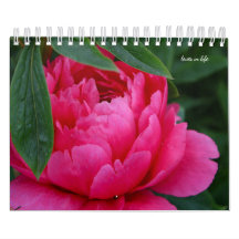 Fleur de pivoine