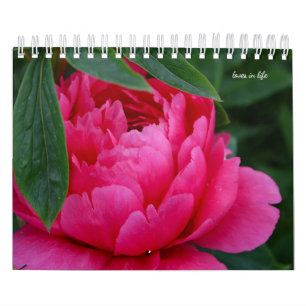 Calendrier Fleur de pivoine