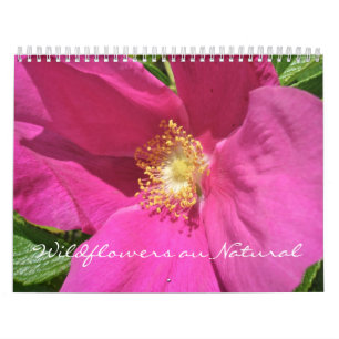 Calendrier - Fleur sauvage au naturel