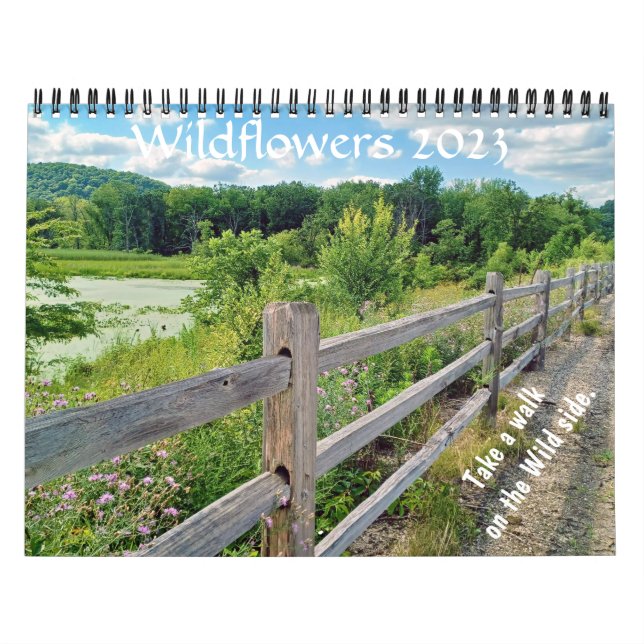 Calendrier Fleur sauvage Wisconsin 2023 (Protection)