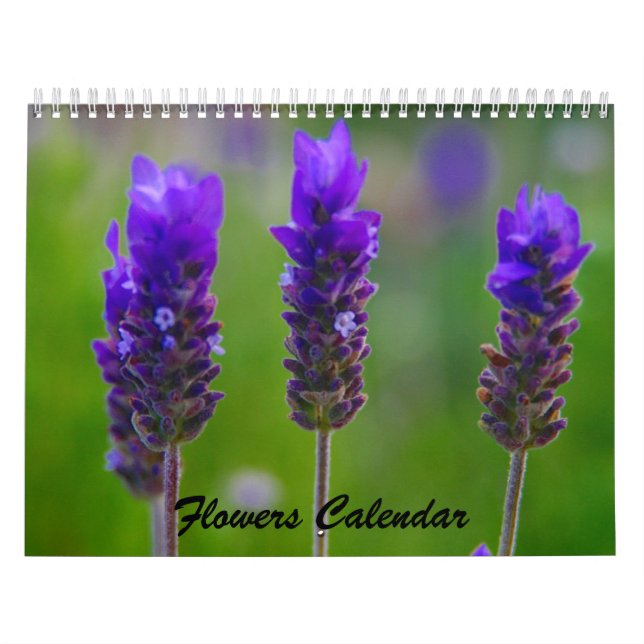 calendrier fleurs 2009 (Protection)