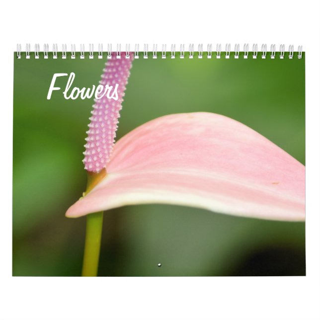 Calendrier Fleurs de beauté naturelles (Protection)