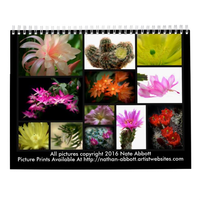 Calendrier Fleurs de cactus (Dos)