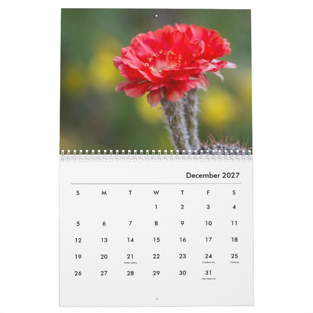 Calendrier Fleurs de cactus (Dec 2027)