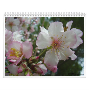 Calendrier Fleurs de l'Israël