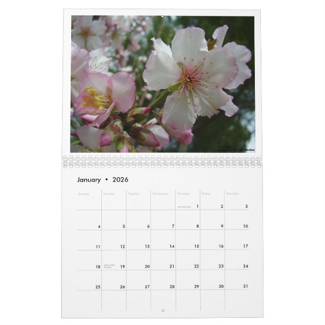 Calendrier Fleurs de l'Israël (Jan 2026)