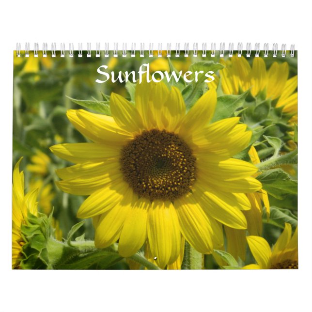 Calendrier Fleurs de soleil (Protection)