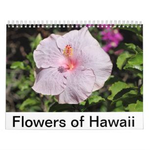 Calendrier Fleurs d'Hawaï