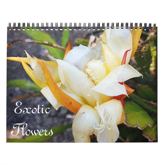 Calendrier FLEURS EXOTIQUES (Protection)