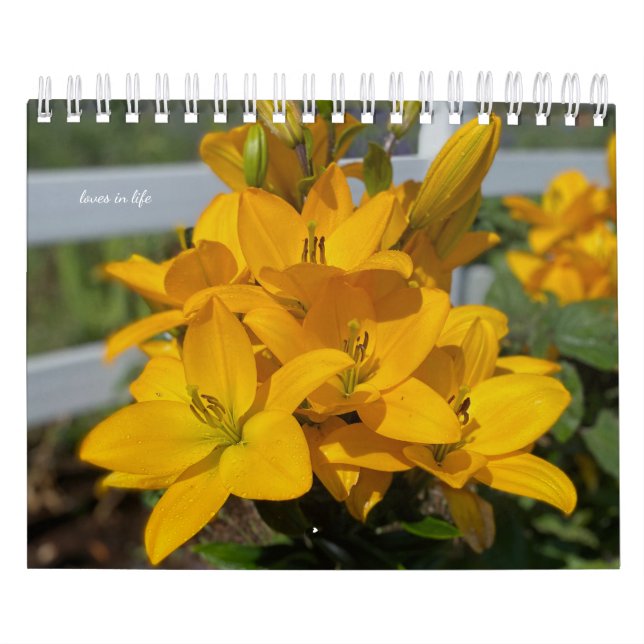 Calendrier Fleurs Jardins Jaunes (Protection)