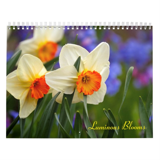 Calendrier Fleurs lumineuses (Protection)