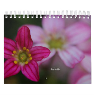 Calendrier Fleurs roses du jardin