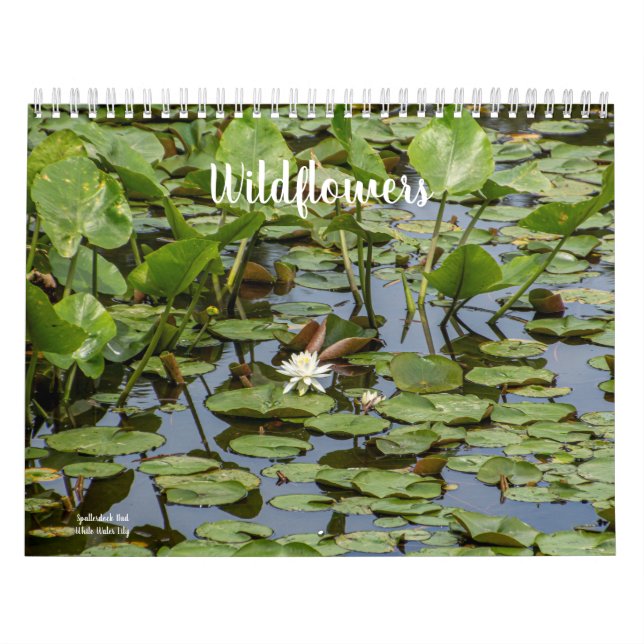 Calendrier Fleurs sauvages (Protection)