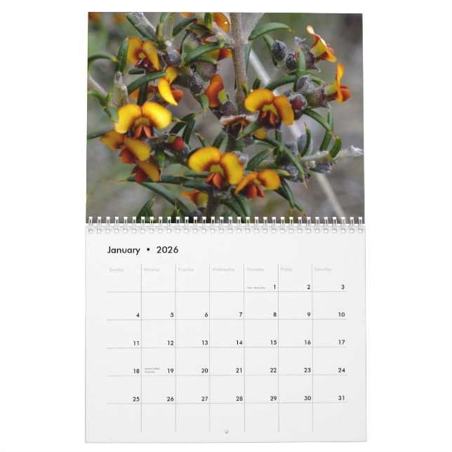 Calendrier Fleurs sauvages australiens (Jan 2026)