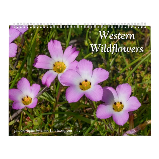 Calendrier Fleurs sauvages occidentaux 2025 (Protection)