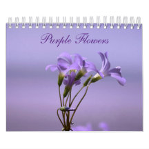 Fleurs violettes