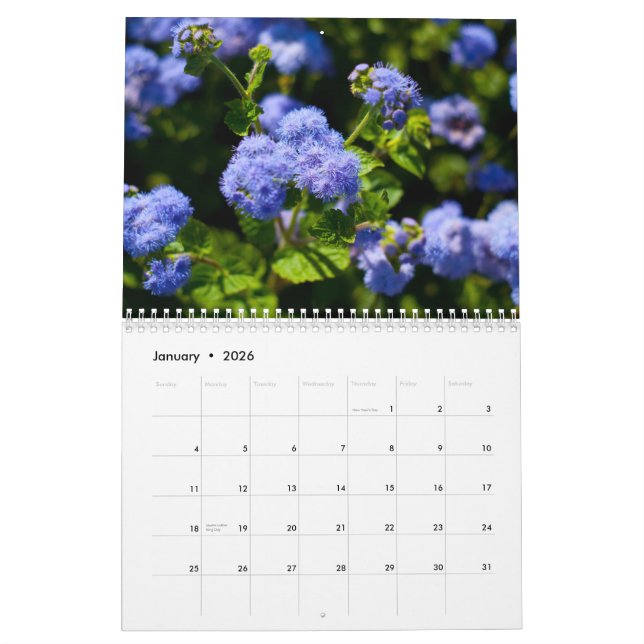 Calendrier Flora 2011 (Jan 2026)