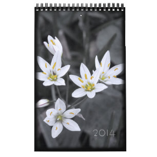 Calendrier floral 2014 12 mois d'une page