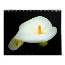 Floral sur le noir