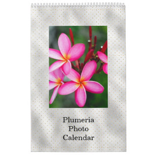 Calendrier Flore Plumeria Fleurs tropicales Photo
